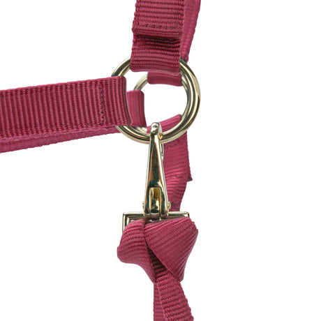 Shires ARMA Premium Adjustable Headcollar #colour_red
