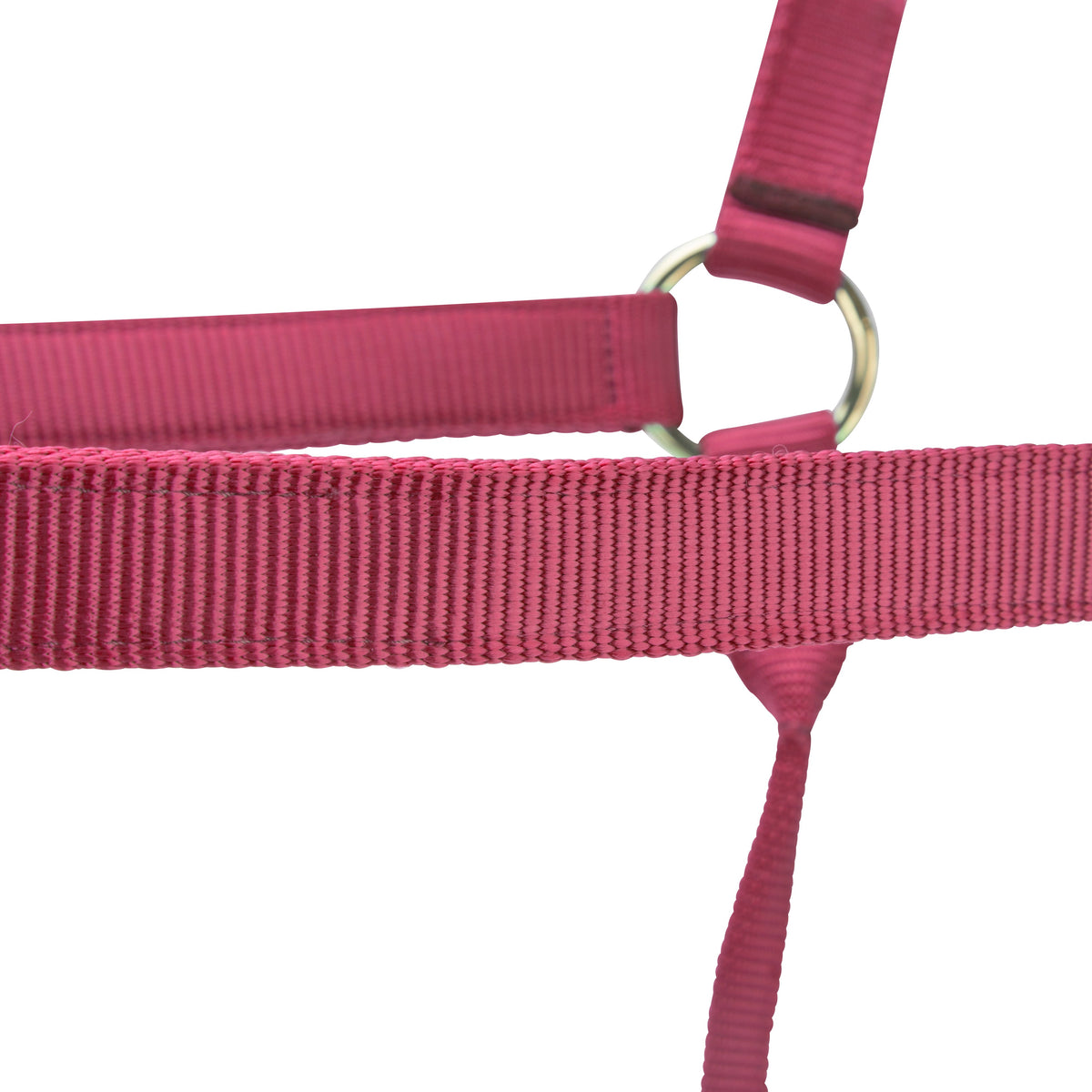 Shires ARMA Premium Adjustable Headcollar