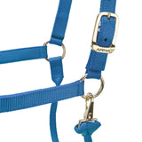 Shires ARMA Premium Adjustable Headcollar #colour_royal