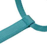 Shires ARMA Premium Adjustable Headcollar #colour_teal