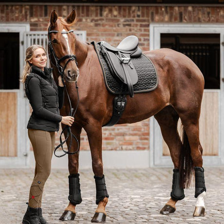 Waldhausen Philadelphia Saddle Pad #colour_black