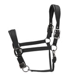 Shires ARMA Pro Padded Headcollar