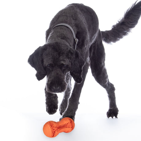 HKM Natural Rubber Dog Toy -Buddy Bone II- #colour_orange