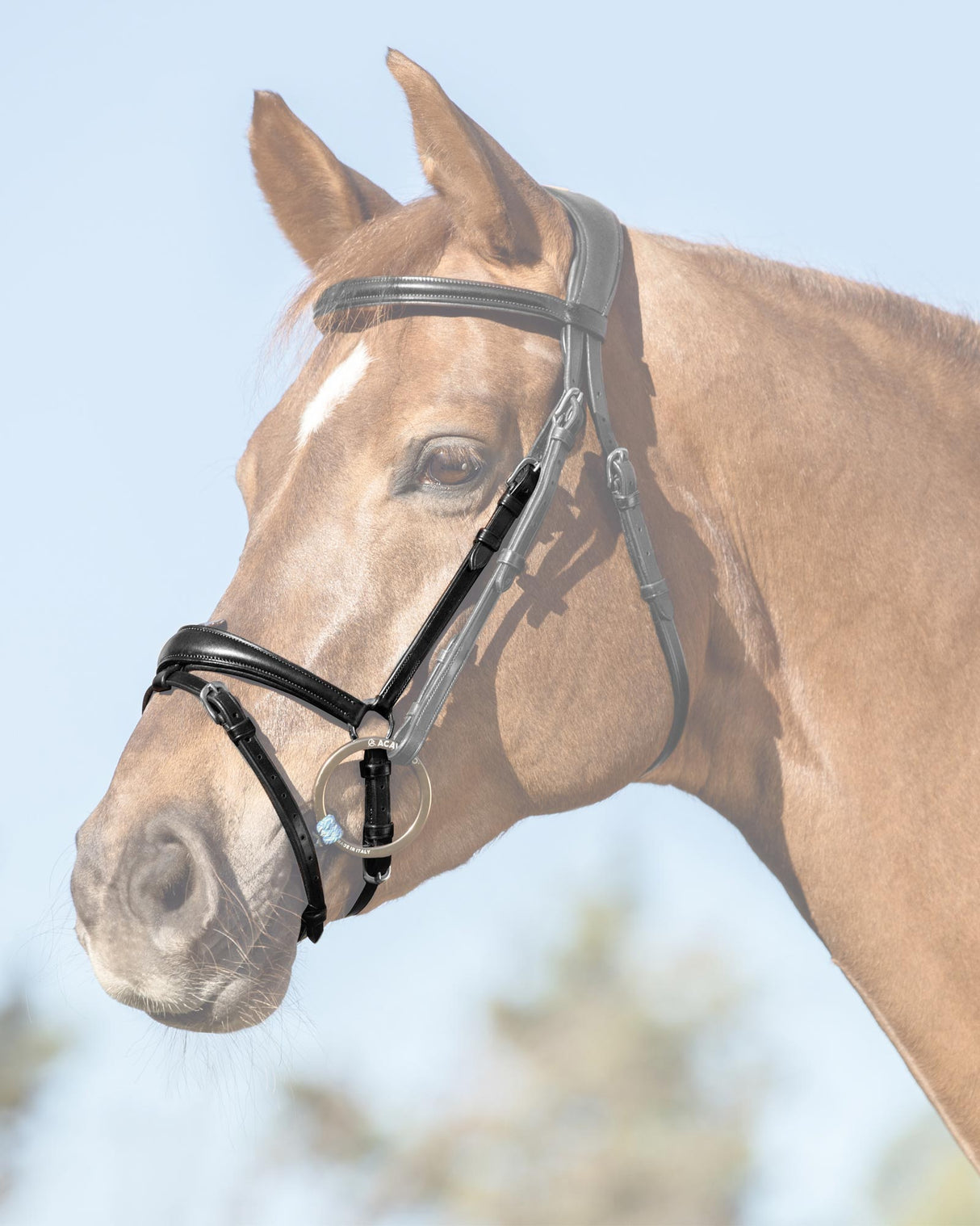 Acavallo Flash Noseband Quick Coupling #colour_black