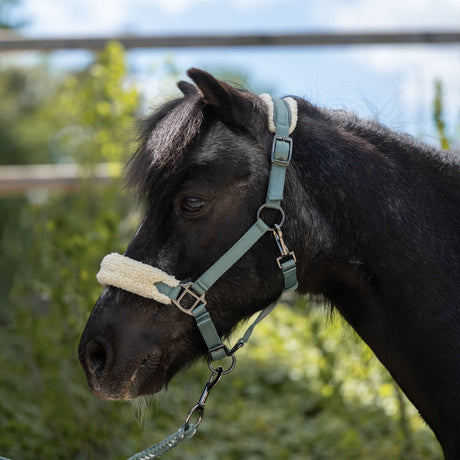 HKM Head Collar -Mia- For Shetland Ponies #colour_sage