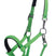 HKM Foal Head Collar -Millie- #colour_lime-green