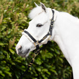 Coldstream Langlee Luxury Head Collar & Lead Rope #colour_black