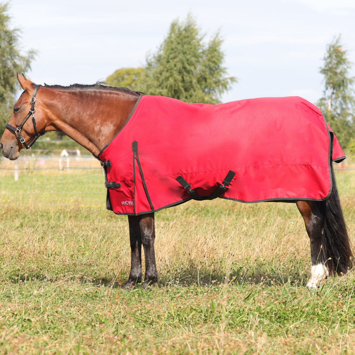 HyCONIC 50g Turnout Rug #colour_red/charcoal