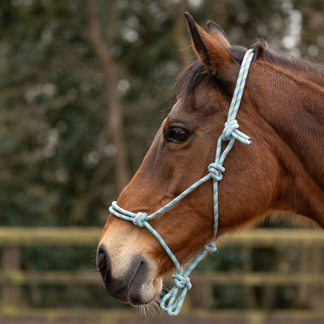Hy Equestrian Rope Halter - Thick #colour_green-multi