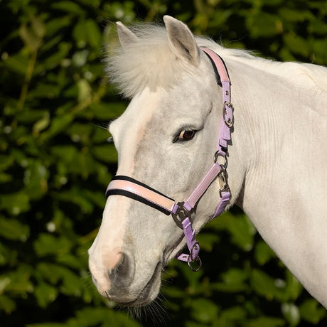 Hy Equestrian Glimmer Head Collar