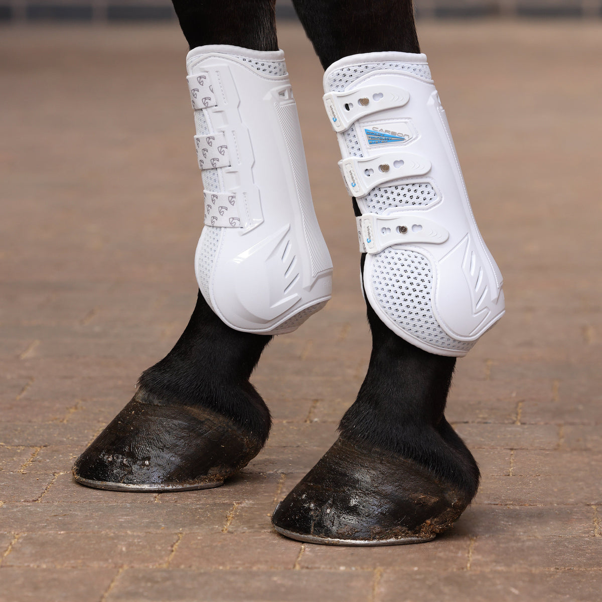 Bottes d'entraînement Shires ARMA Carbon