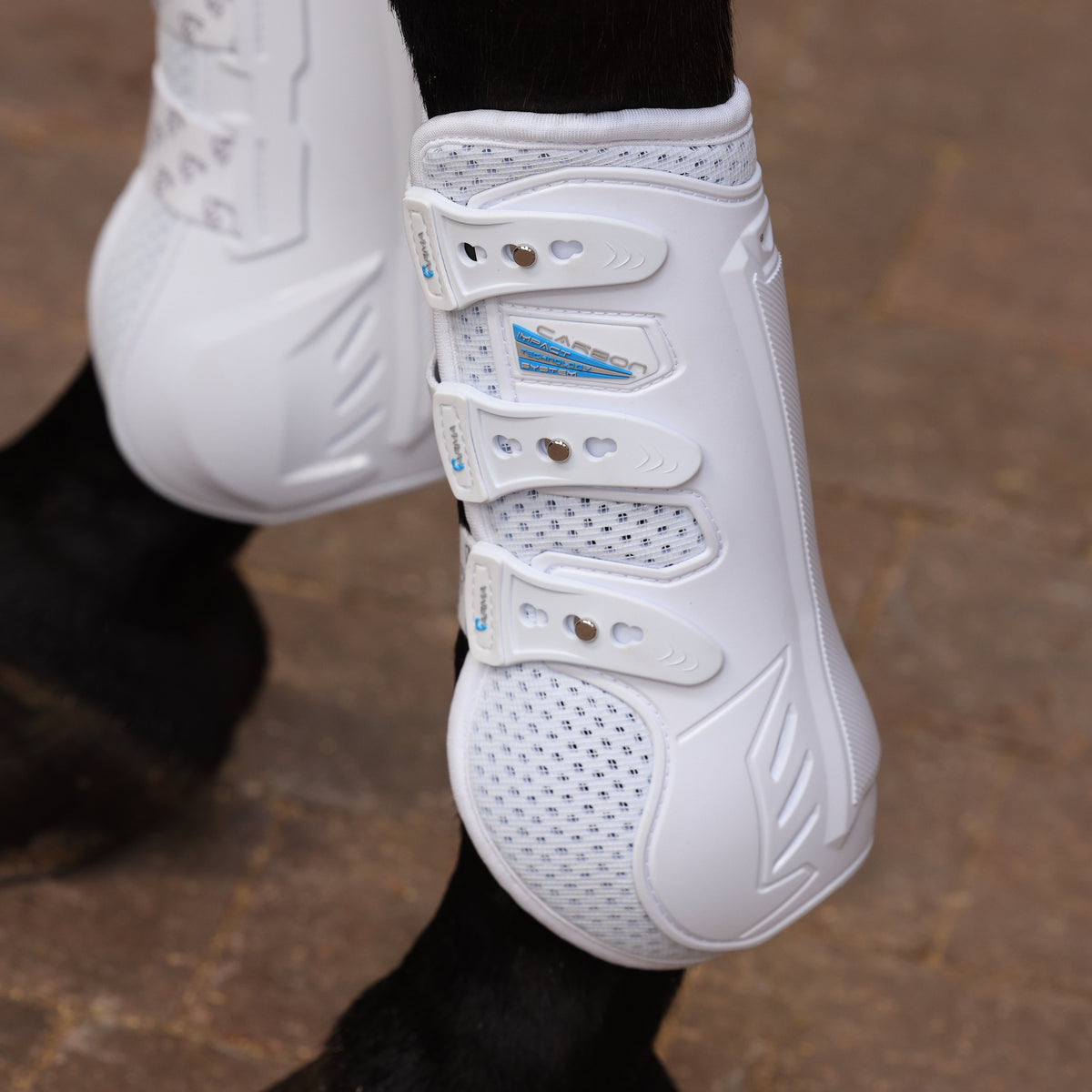Bottes d'entraînement Shires ARMA Carbon