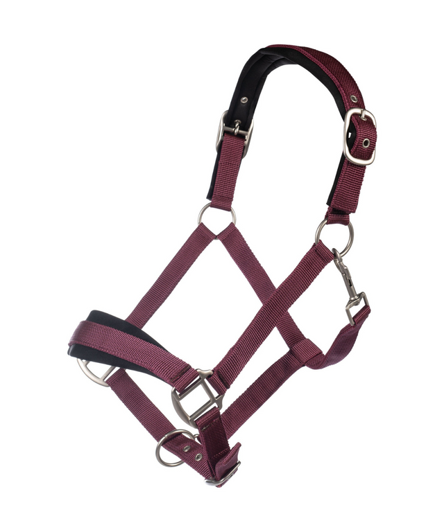 HKM Head Collar -Samantha- #colour_bordeaux