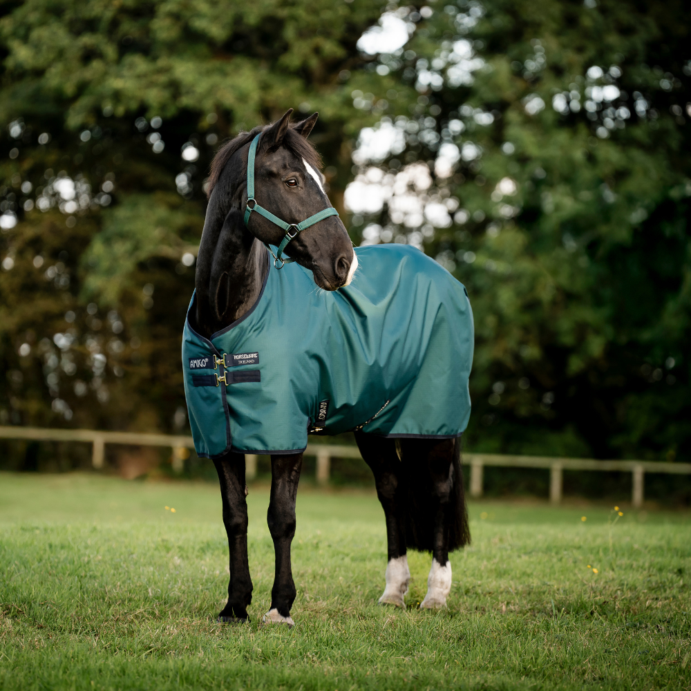 Horseware Ireland Amigo Ripstop 900D 100g Turnout Rug #colour_dynasty-green-navy-silver