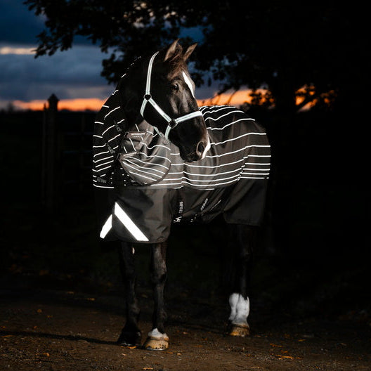 Horseware Ireland Amigo 1200D FieldSafe Reflectech Plus 250g Turnout Rug #colour_black-reflective-black