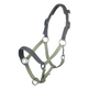 HKM Head Collar -Barnie- #colour_bright-green-dark-green