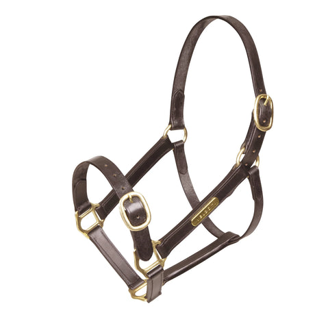 Shires Velociti GARA Fully Adjustable Leather Headcollar #colour_havana