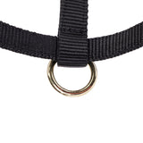 Shires ARMA Foal Headcollar