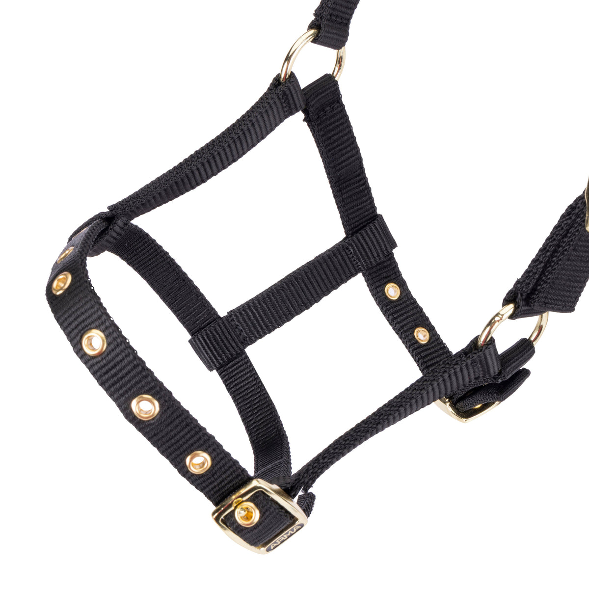 Shires ARMA Foal Headcollar