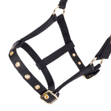Shires ARMA Foal Headcollar