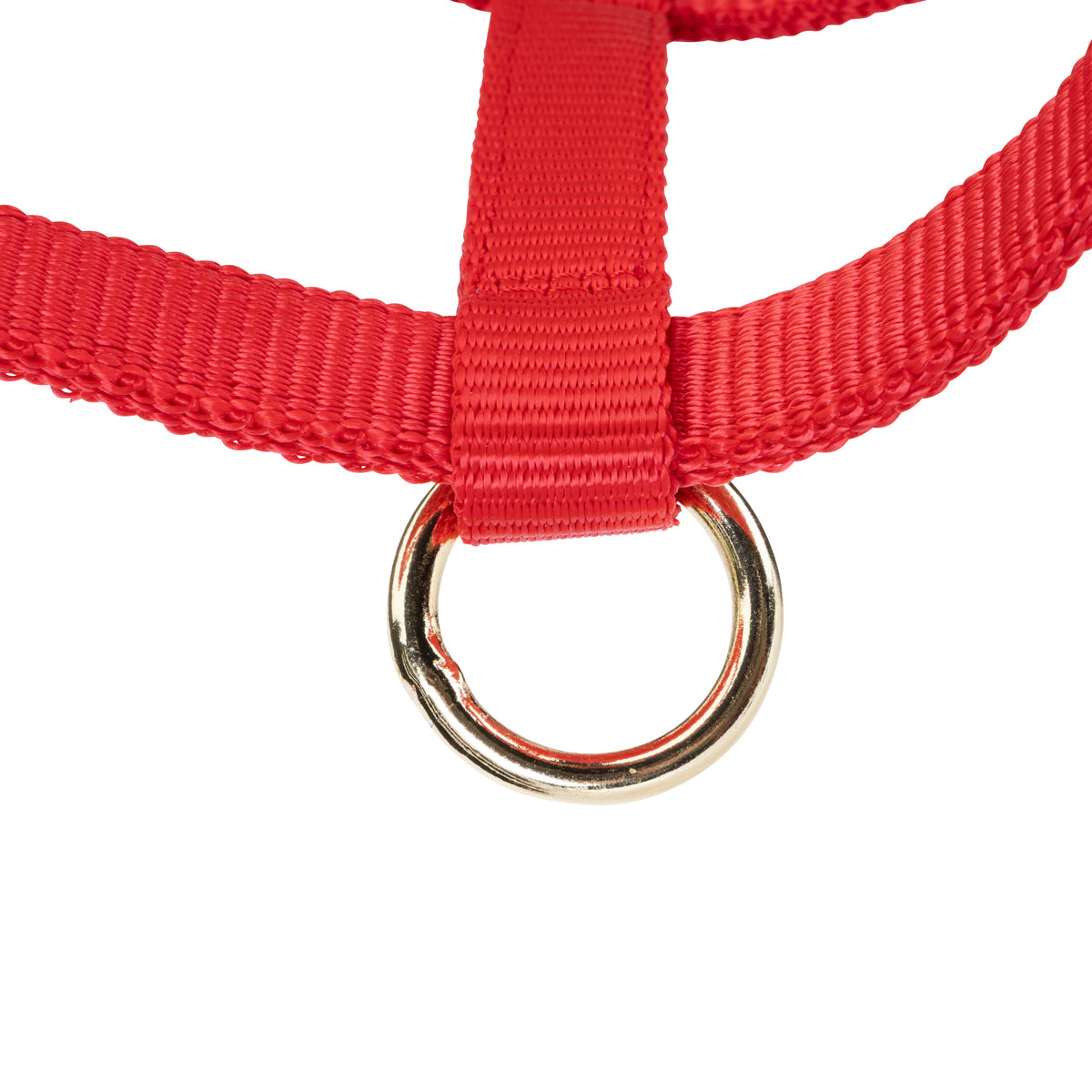 Shires ARMA Foal Headcollar
