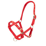 Shires ARMA Foal Headcollar