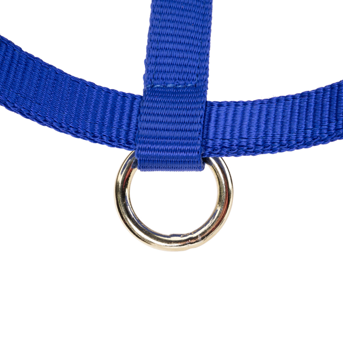 Shires ARMA Foal Headcollar
