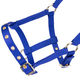 Shires ARMA Foal Headcollar