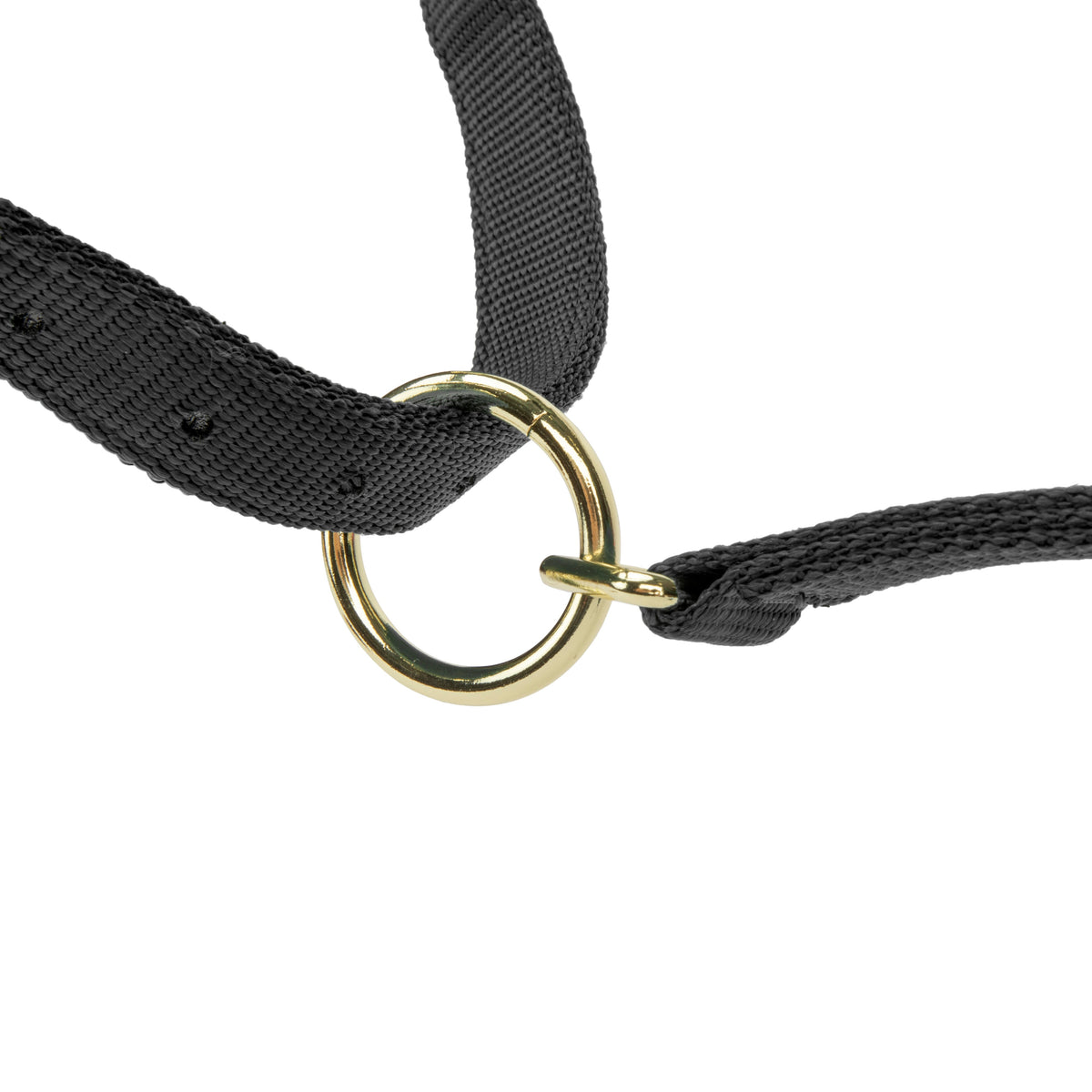 Shires Topaz Nylon Headcollar