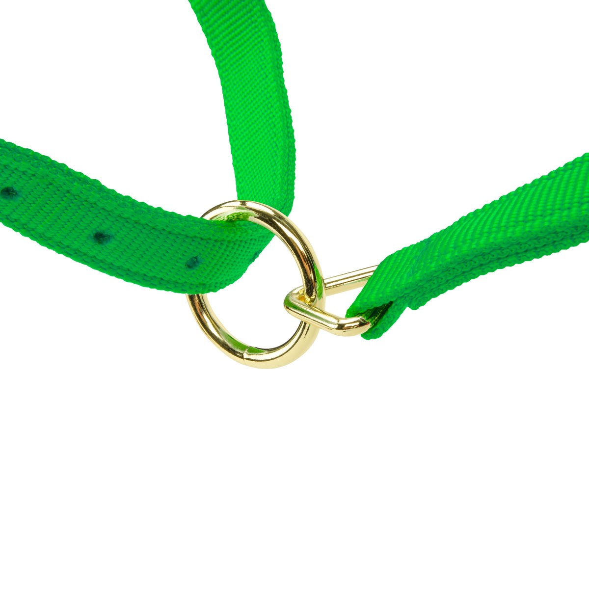 Shires Topaz Nylon Headcollar