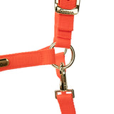 Shires Topaz Nylon Headcollar