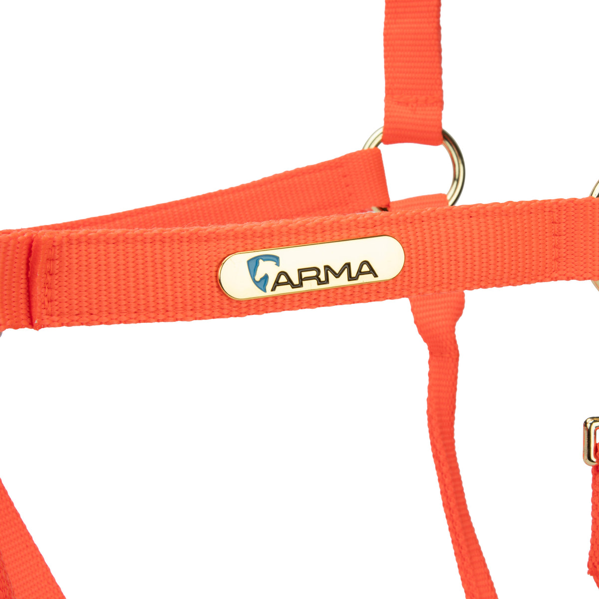 Shires Topaz Nylon Headcollar