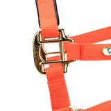 Shires Topaz Nylon Headcollar