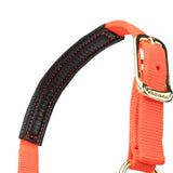 Shires Topaz Nylon Headcollar