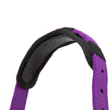 Shires Topaz Nylon Headcollar