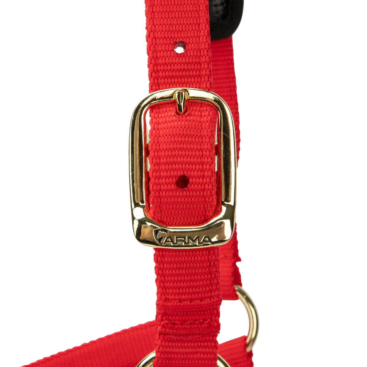 Shires Topaz Nylon Headcollar