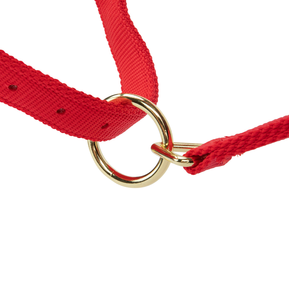 Shires Topaz Nylon Headcollar
