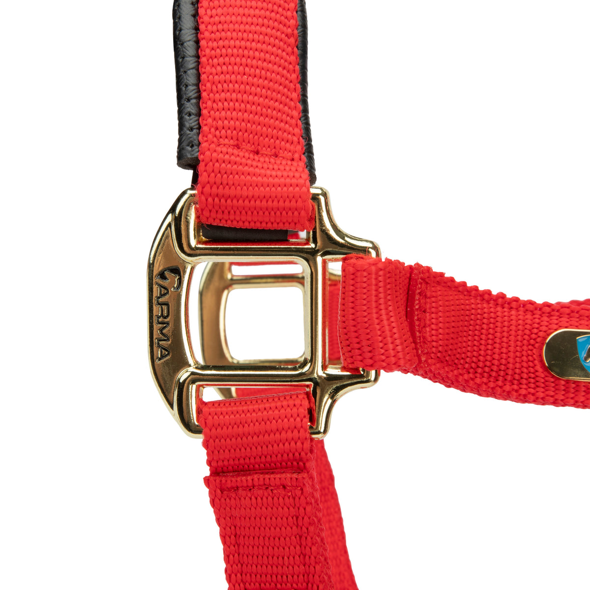 Shires Topaz Nylon Headcollar