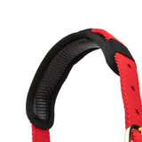 Shires Topaz Nylon Headcollar