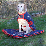 Benji & Flo Thelwell Collection Practice Makes Perfect Dog Bed #colour_navy-red