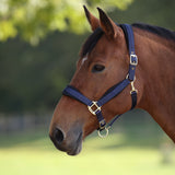 Shires ARMA Padded Headcollar #colour_navy