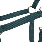 Shires ARMA verstellbares Halfter