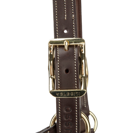 Shires Velociti Lusso Girona Leather Headcollar #colour_havana