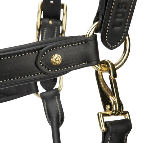 Shires Velociti Lusso Lorca Leather Headcollar #colour_black