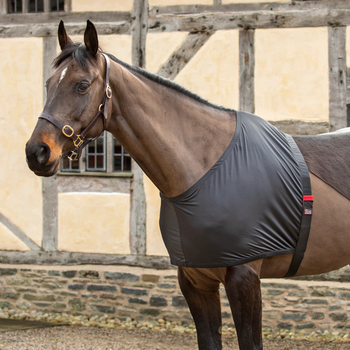 Shires Anti-Rub-Stretchweste