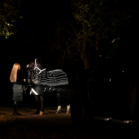 Horseware Ireland Amigo 1200D FieldSafe Reflectech Plus 50g Turnout Rug #colour_black-reflective-black