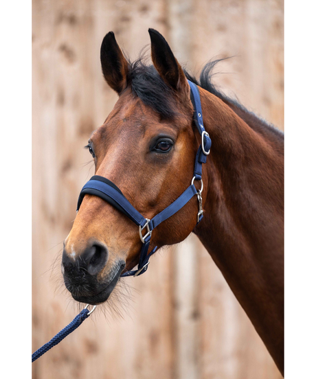 HKM Head Collar -Samantha- #colour_deep-blue