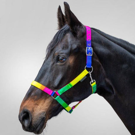 STAR Rainbow Halter #colour_neon-multicolour