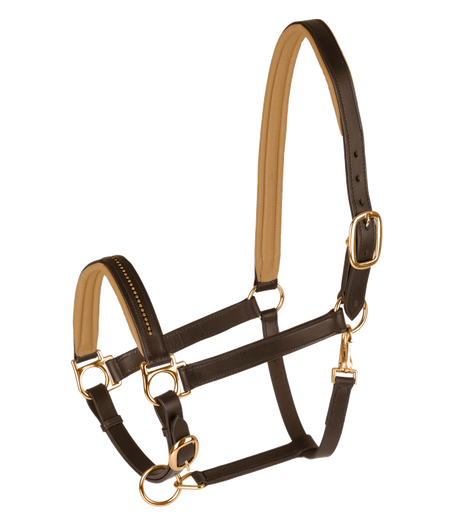 STAR Diamond Leather Halter #colour_brown-gold