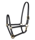 STAR Leather Foal Halter #colour_black